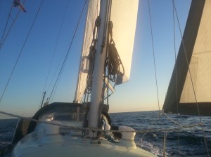 The best of the weather